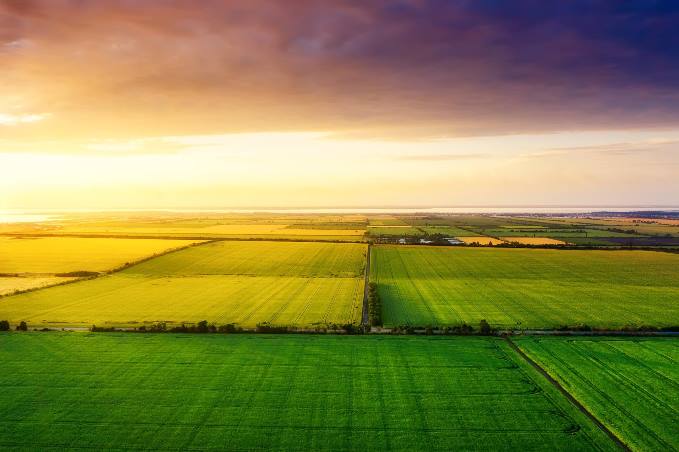 Agricultural Chemicals